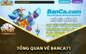 Tổng Quan Về Banca71