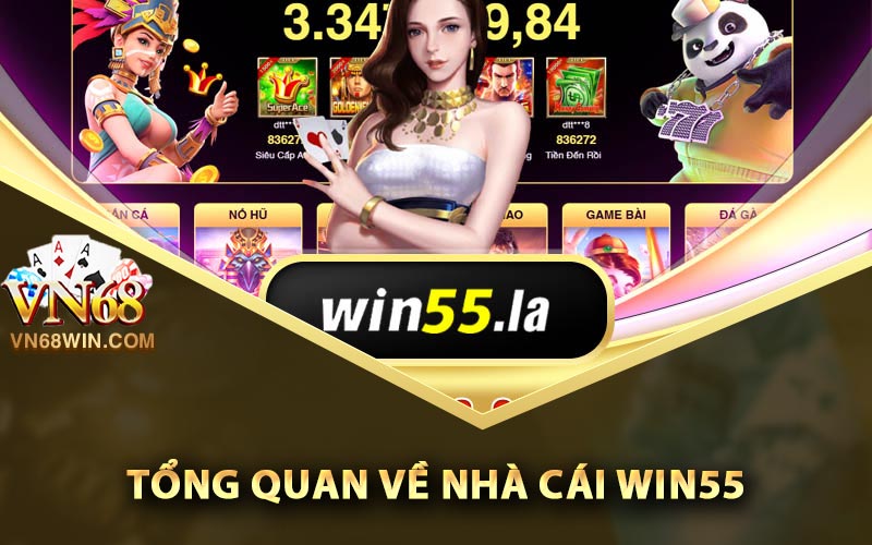 Tổng quan về nhà cái Win55