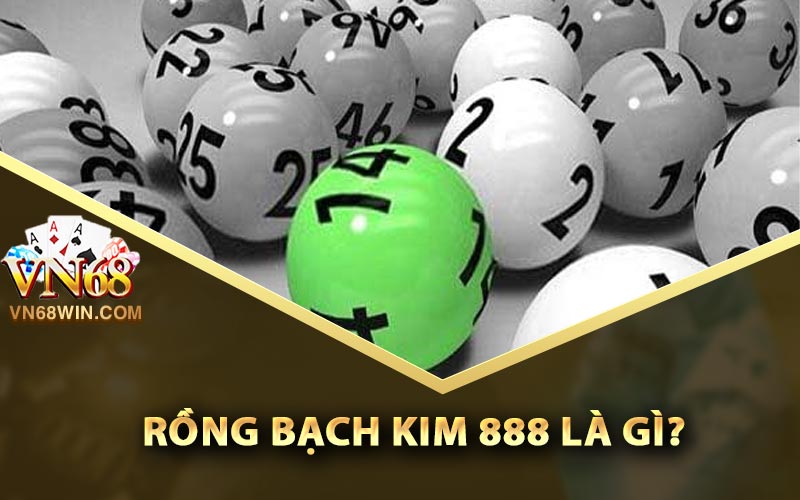 Rồng bạch kim 888 là gì?