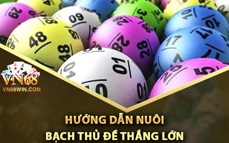 Hướng dẫn nuôi bạch thủ đề thắng lớn