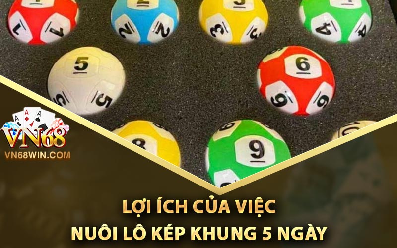 Lợi ích của việc nuôi lô kép khung 5 ngày
